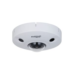 DH-IPC-EBW8842P-AS-IVC
